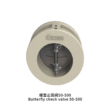 碟型止回阀50-500