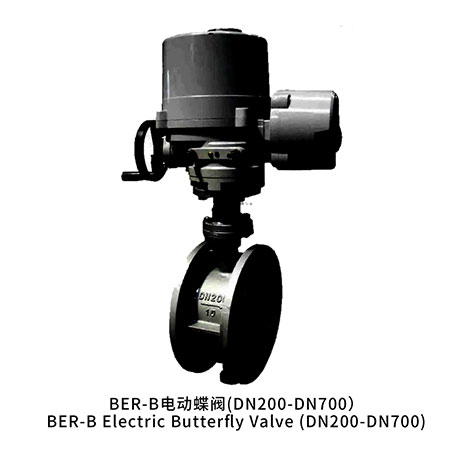 BER-B电动蝶阀(DN200-DN700)